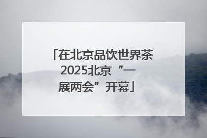 在北京品饮世界茶 2025北京“一展两会”开幕