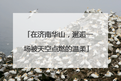 在济南华山，邂逅一场被天空点燃的温柔