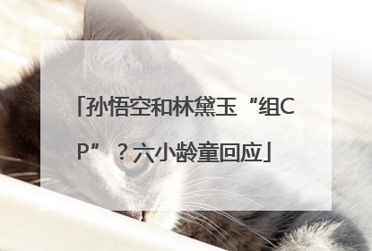 孙悟空和林黛玉“组CP”？六小龄童回应