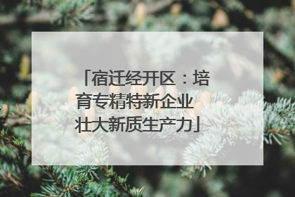 宿迁经开区：培育专精特新企业 壮大新质生产力