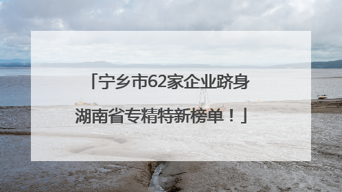 宁乡市62家企业跻身湖南省专精特新榜单！