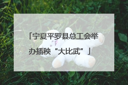 宁夏平罗县总工会举办插秧“大比武”