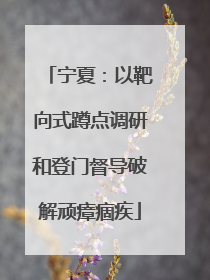 宁夏：以靶向式蹲点调研和登门督导破解顽瘴痼疾