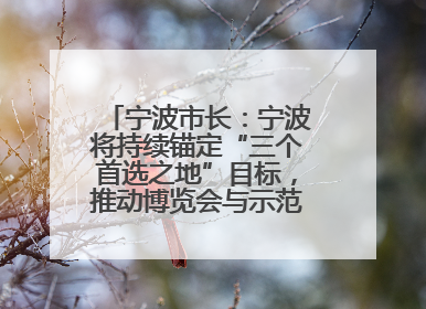 宁波市长：宁波将持续锚定“三个首选之地”目标，推动博览会与示范区互促共进