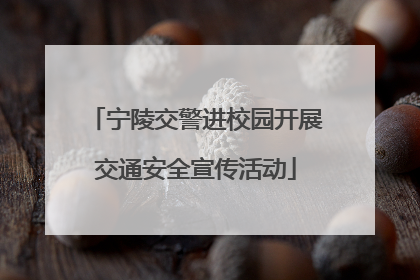 宁陵交警进校园开展交通安全宣传活动
