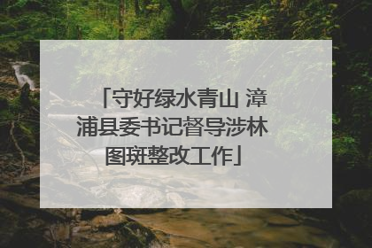 守好绿水青山 漳浦县委书记督导涉林图斑整改工作