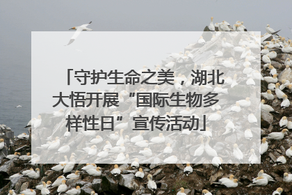守护生命之美，湖北大悟开展“国际生物多样性日”宣传活动
