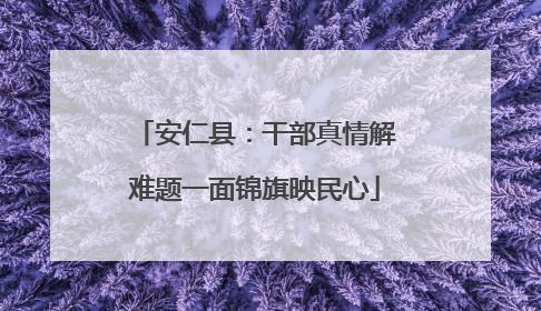 安仁县：干部真情解难题一面锦旗映民心