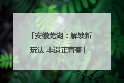 安徽芜湖：解锁新玩法 非遗正青春