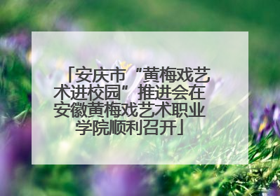 安庆市“黄梅戏艺术进校园”推进会在安徽黄梅戏艺术职业学院顺利召开