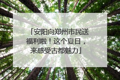 安阳向郑州市民送福利啦！这个夏日，来感受古都魅力