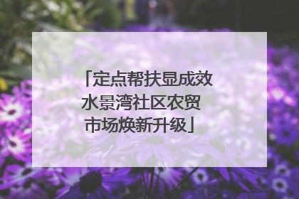 定点帮扶显成效 水景湾社区农贸市场焕新升级