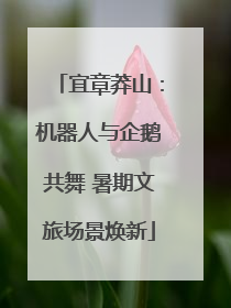 宜章莽山：机器人与企鹅共舞 暑期文旅场景焕新