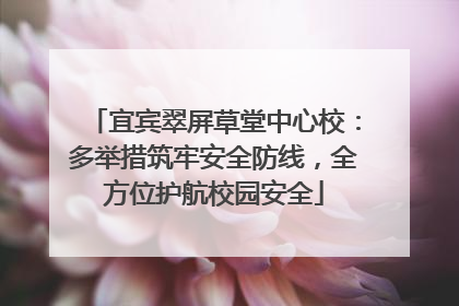 宜宾翠屏草堂中心校：多举措筑牢安全防线，全方位护航校园安全