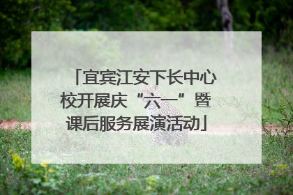 宜宾江安下长中心校开展庆“六一”暨课后服务展演活动