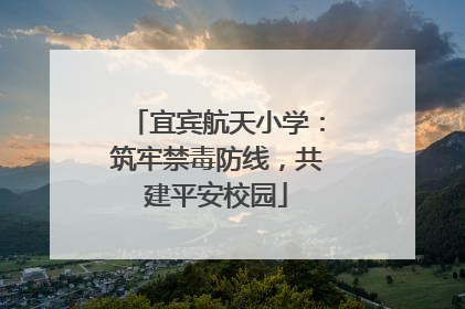 宜宾航天小学：筑牢禁毒防线，共建平安校园