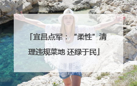 宜昌点军：“柔性”清理违规菜地 还绿于民