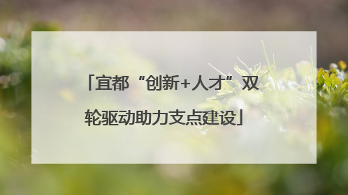 宜都“创新+人才”双轮驱动助力支点建设