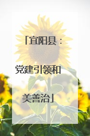 宜阳县：党建引领和美善治