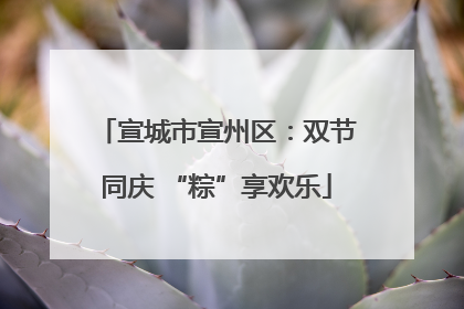 宣城市宣州区：双节同庆 “粽”享欢乐
