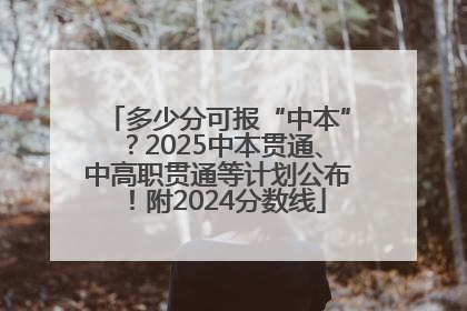 多少分可报“中本”？2025中本贯通、中高职贯通等计划公布！附2024分数线