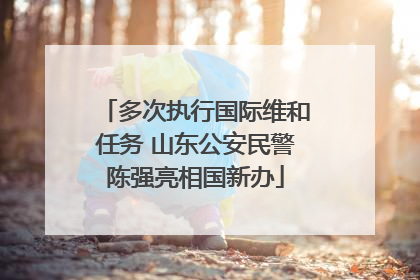 多次执行国际维和任务 山东公安民警陈强亮相国新办