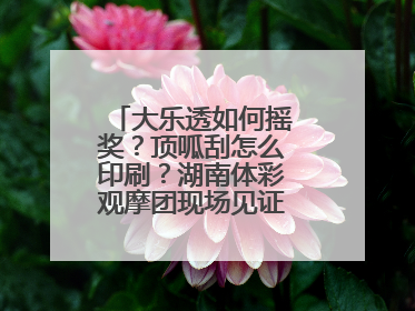 大乐透如何摇奖？顶呱刮怎么印刷？湖南体彩观摩团现场见证“阳光开奖”