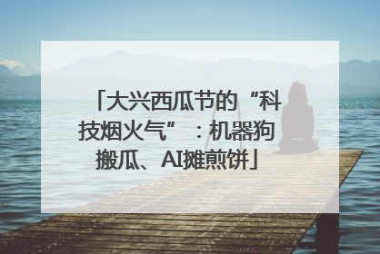 大兴西瓜节的“科技烟火气”：机器狗搬瓜、AI摊煎饼