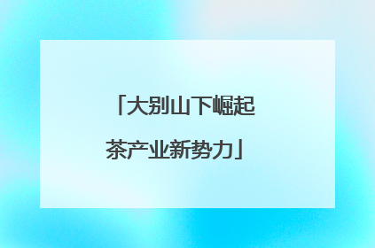 大别山下崛起茶产业新势力
