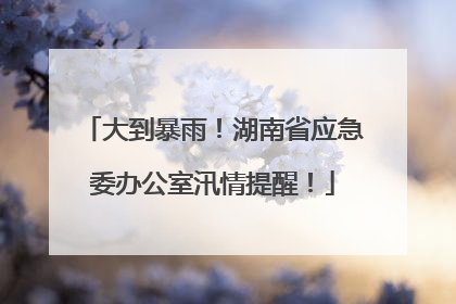 大到暴雨！湖南省应急委办公室汛情提醒！