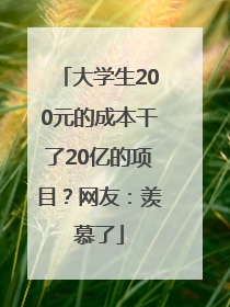 大学生200元的成本干了20亿的项目？网友：羡慕了