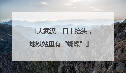 大武汉一日丨抬头，地铁站里有“蝴蝶”