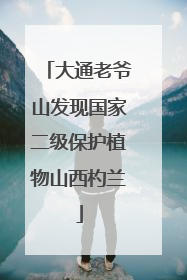 大通老爷山发现国家二级保护植物山西杓兰