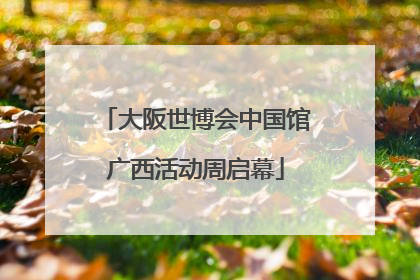 大阪世博会中国馆广西活动周启幕