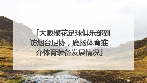 大阪樱花足球俱乐部到访烟台足协，鹿扬体育推介体育装备发展情况