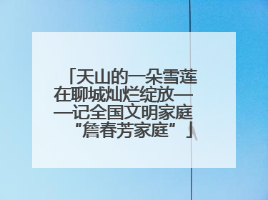 天山的一朵雪莲在聊城灿烂绽放——记全国文明家庭“詹春芳家庭”