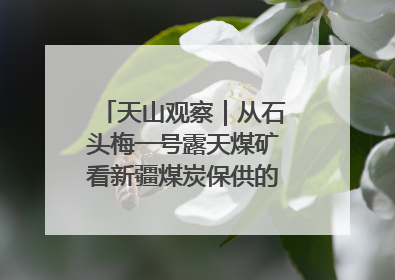 天山观察｜从石头梅一号露天煤矿看新疆煤炭保供的量与“智”