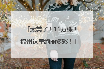 太美了！11万株！福州这里绚丽多彩！