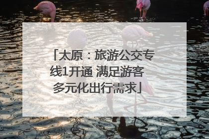 太原：旅游公交专线1开通 满足游客多元化出行需求