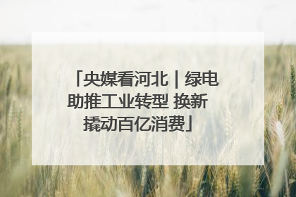 央媒看河北｜绿电助推工业转型 换新撬动百亿消费