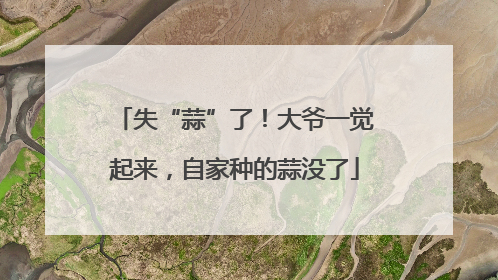 失“蒜”了！大爷一觉起来，自家种的蒜没了