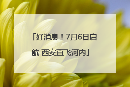 好消息！7月6日启航 西安直飞河内
