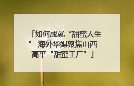 如何成就“甜蜜人生” 海外华媒聚焦山西高平“甜蜜工厂”
