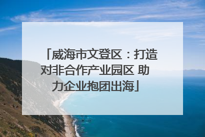 威海市文登区：打造对非合作产业园区 助力企业抱团出海
