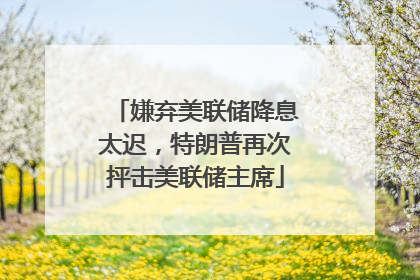 嫌弃美联储降息太迟，特朗普再次抨击美联储主席