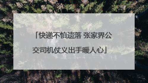 快递不慎遗落 张家界公交司机仗义出手暖人心