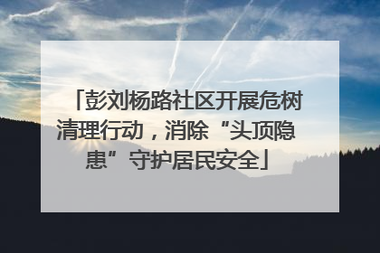 彭刘杨路社区开展危树清理行动，消除“头顶隐患”守护居民安全