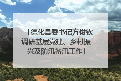 德化县委书记方俊钦调研基层党建、乡村振兴及防汛备汛工作