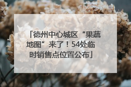 德州中心城区“果蔬地图”来了！54处临时销售点位置公布