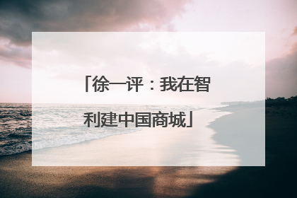 徐一评：我在智利建中国商城